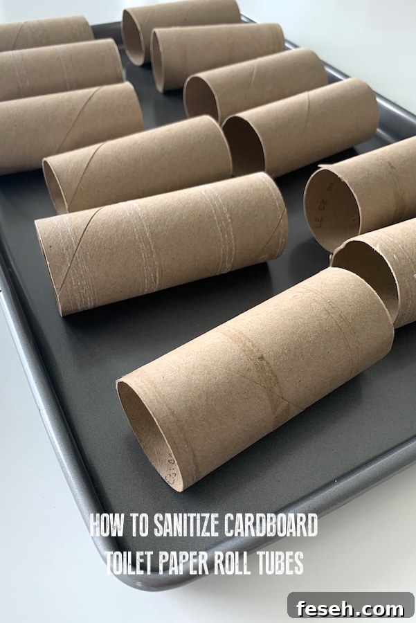 how to sanitize toilet paper tubes for crafts | NoBiggie.net