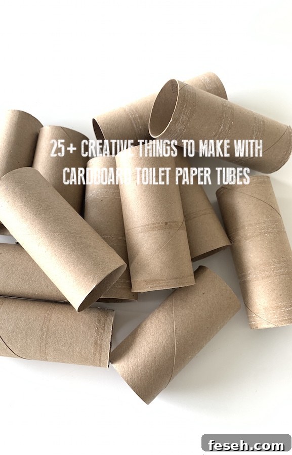 toilet paper tubes for crafts | NoBiggie.net