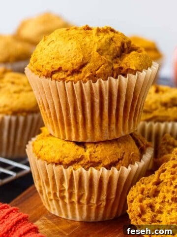 2-Ingredient Pumpkin Muffins