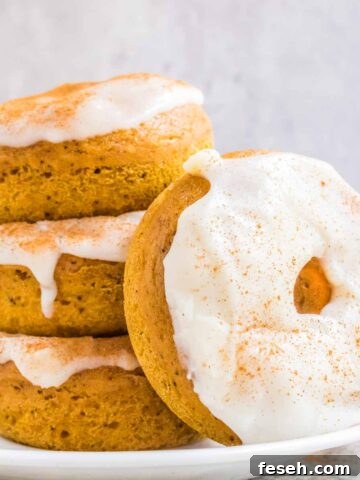 Pumpkin Spice Donuts