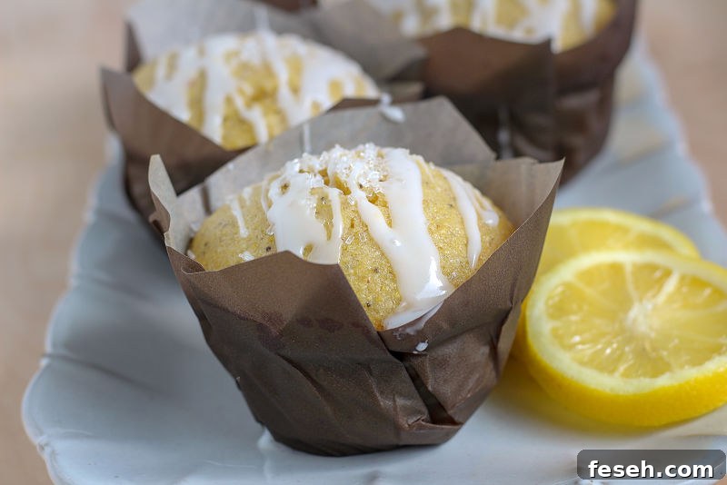 vegan lemon poppy seed cornbread muffins
