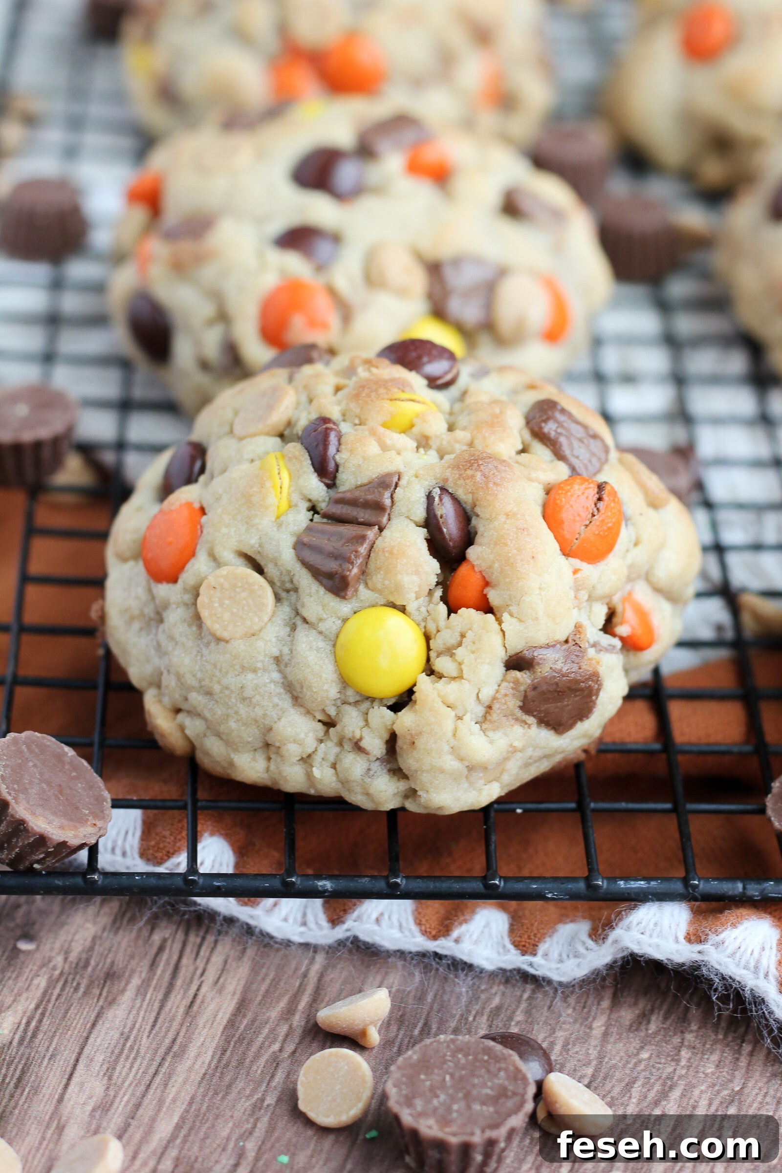 Ultimate peanut butter cookie