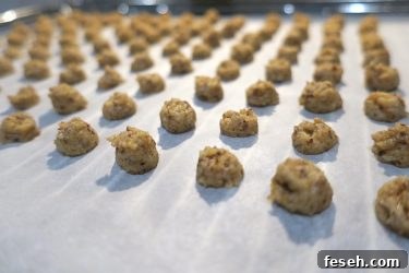 Sugar Free Nocciolini di Chivasso (Hazelnut Buttons)