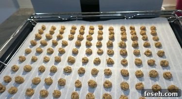 Sugar Free Nocciolini di Chivasso (Hazelnut Buttons)