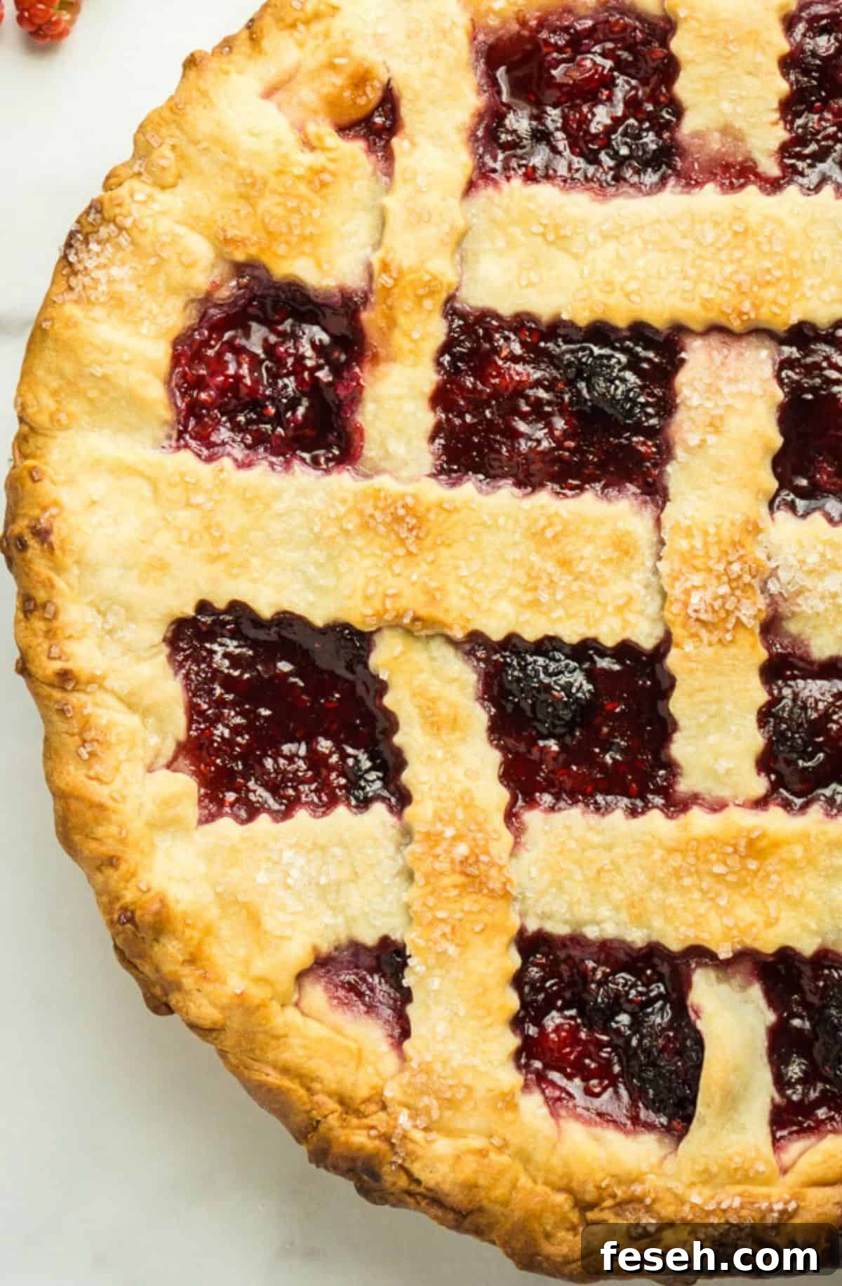 lattice topped blackberry raspberry pie.