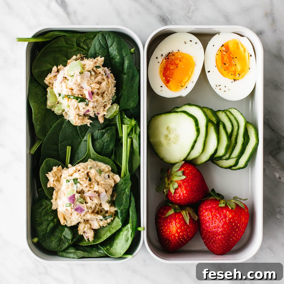 Tuna salad bento box for a budget meal prep
