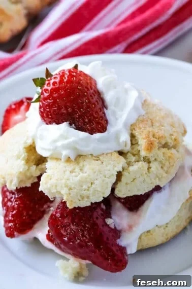 Strawberry shortcake on a plate.