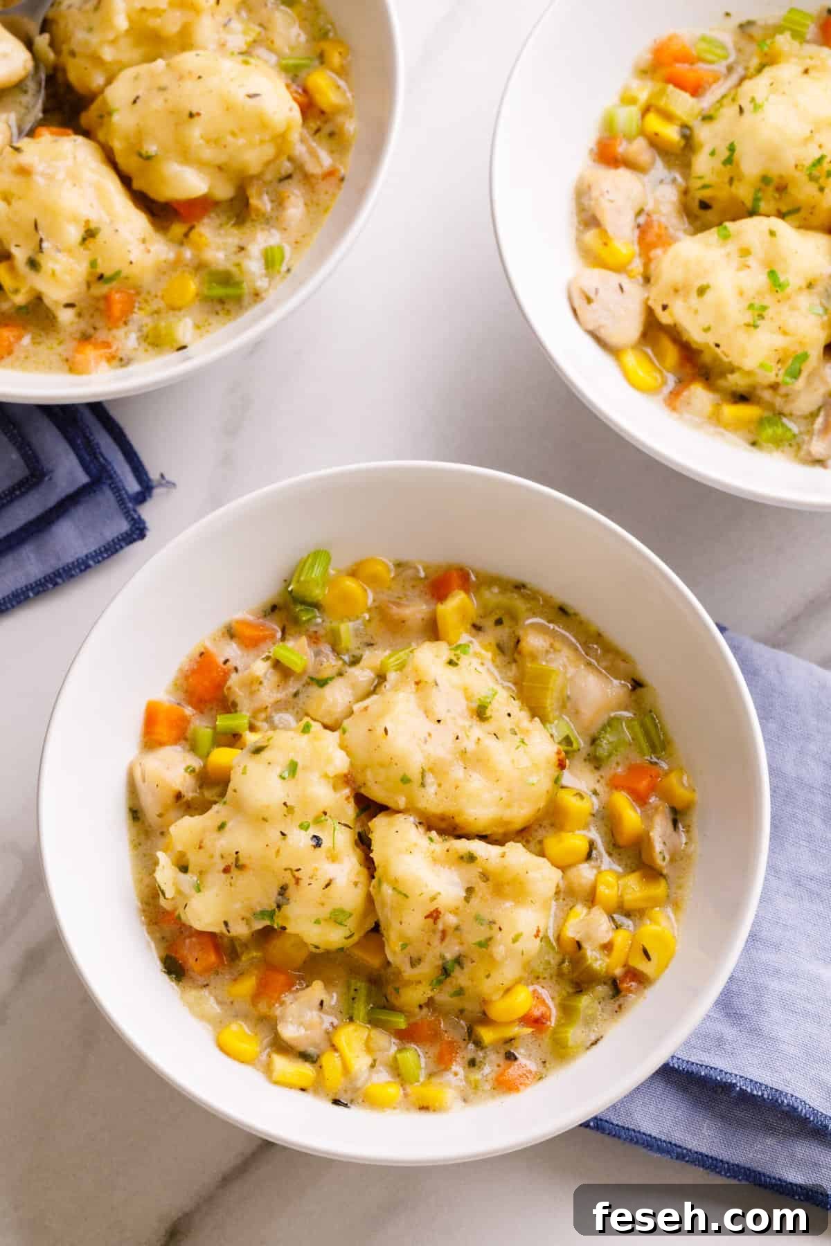 Top down image of a bowl of chicken and dumplings served in a white round bowl.