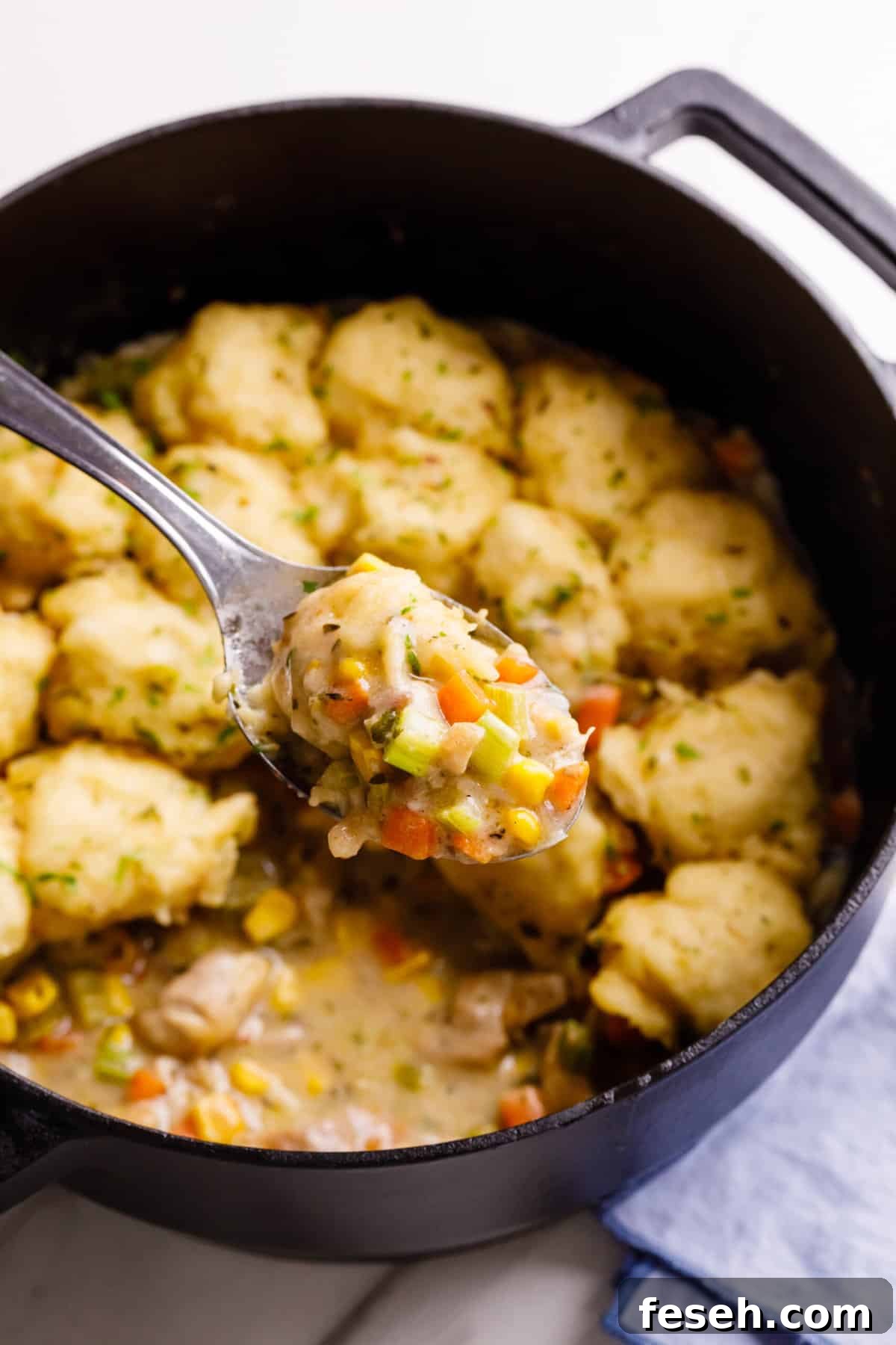Spoonful of chicken and dumpling hovering over the cast iron pot.
