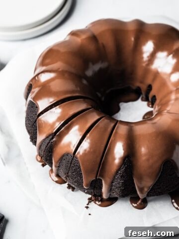 Chocolate Olive Oil Bundt Cake