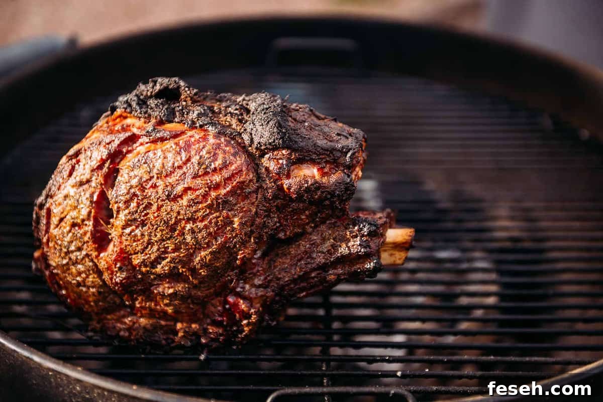 Perfect Grilled Prime Rib Recipe for Juicy, Flavorful Results 8 Charcoal grilled prime rib on the grill grates.