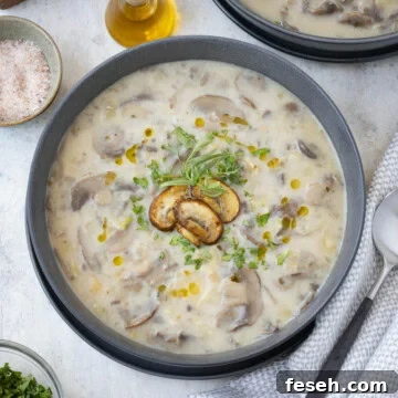A gray bowl of chunky leek mushroom soup with a spoon beside bowl.