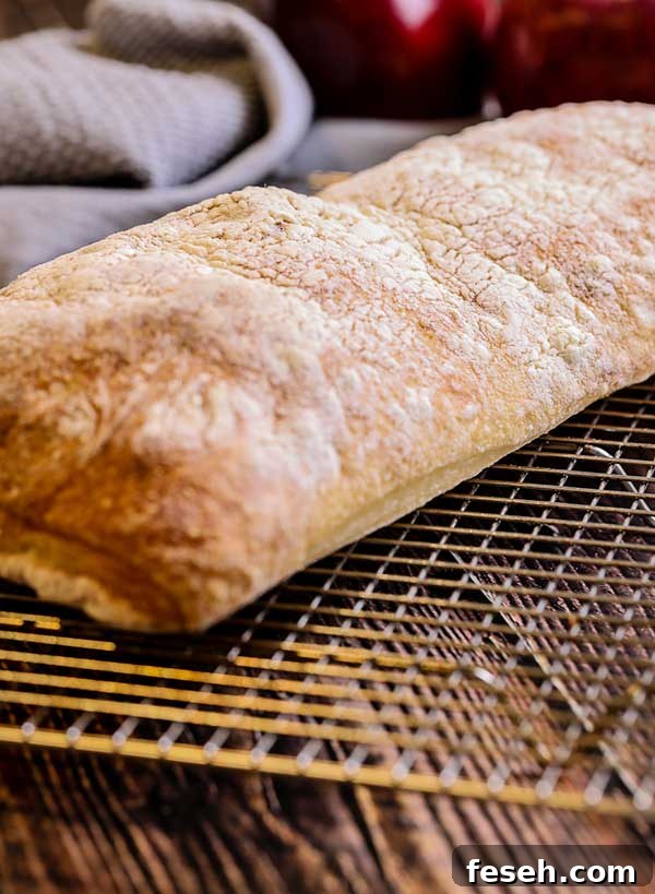 freshly baked ciabatta loaf