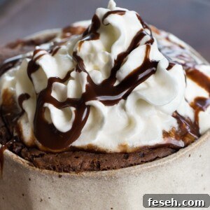 Chocolate Mug Cake Whipped Cream
