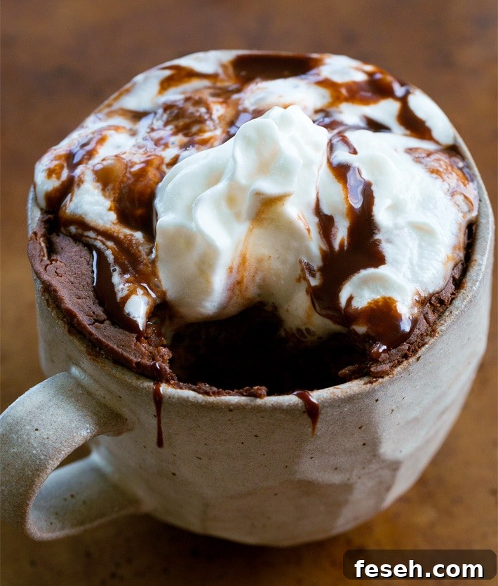 Chocolate Protein Mug Cake