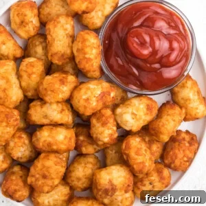Tater Tots on a white plate that were made in the Air Fryer. A small bowl of ketchup on the side.
