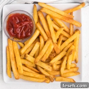 french fries on a white plate with a side of ketchup.