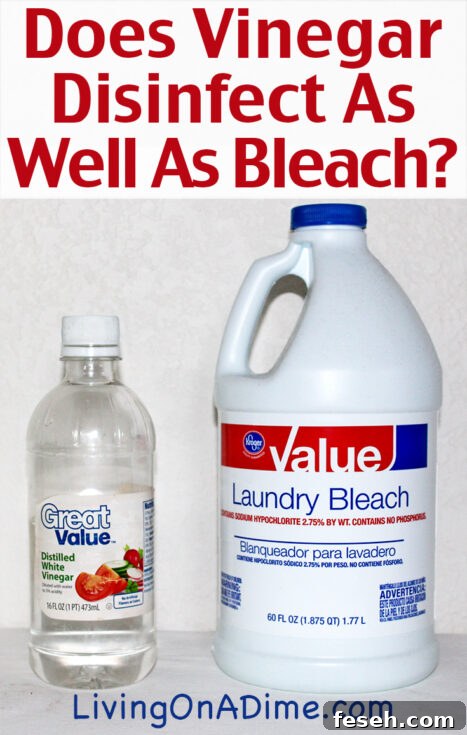 Does Vinegar Disinfect as Well as Bleach? Some people are afraid of bleach and prefer to use vinegar as a disinfectant but is it safe to use vinegar as a disinfectant?