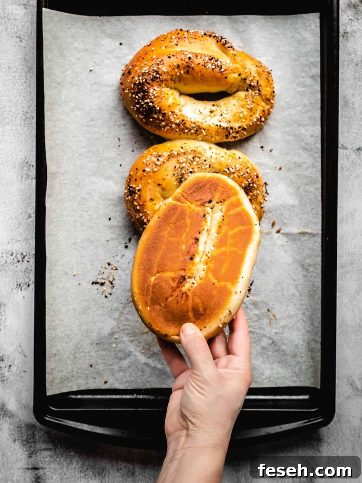 browned bottom of a homemade bagel