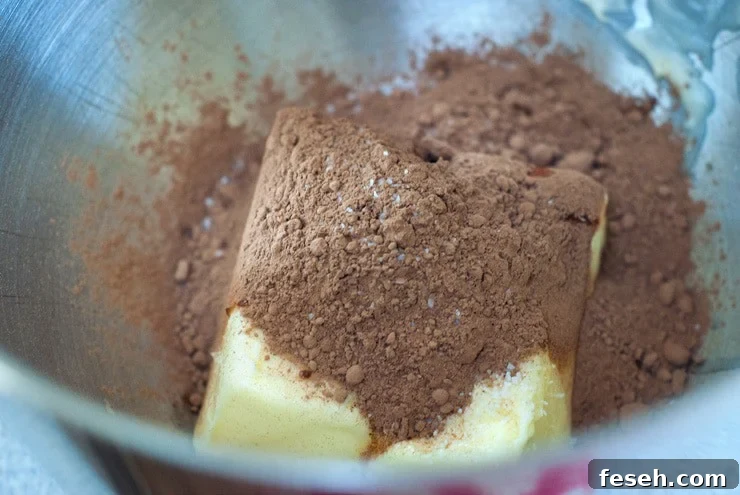 Chocolate cake mix with butter in a silver mixing bowl.