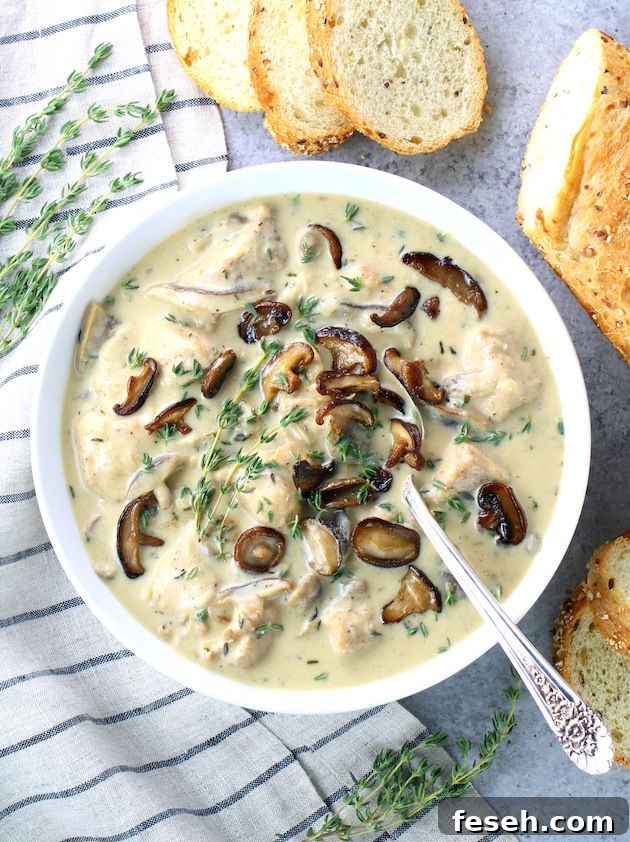 Chicken Mushroom Soup