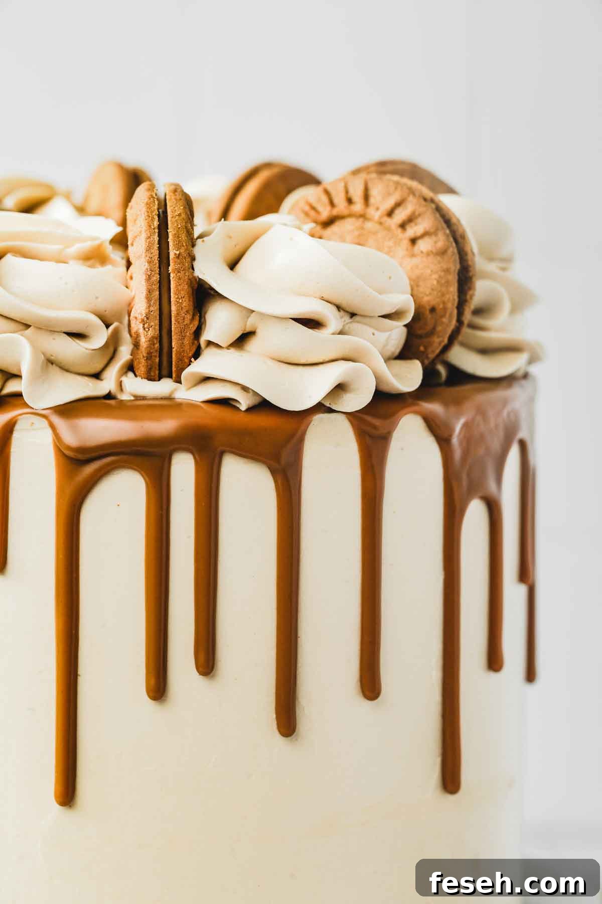 cake with biscoff buttercream icing