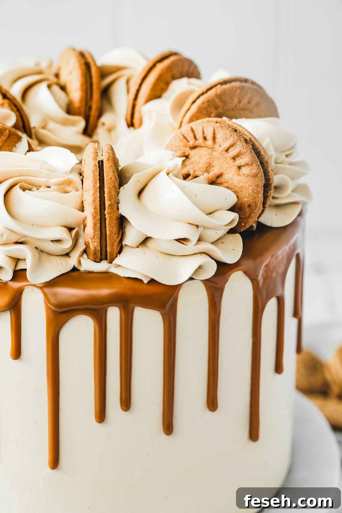 cake with biscoff buttercream