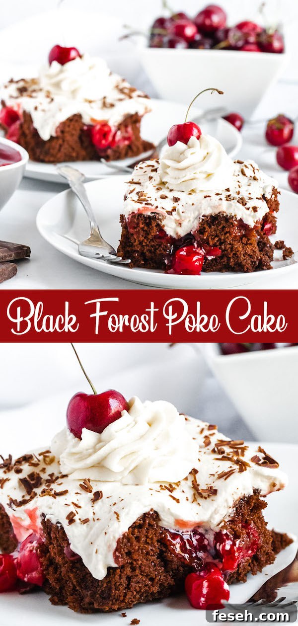 chocolate cake filled with cherry pie filling and topped with whipped cream, chocolate shavings and a cherry