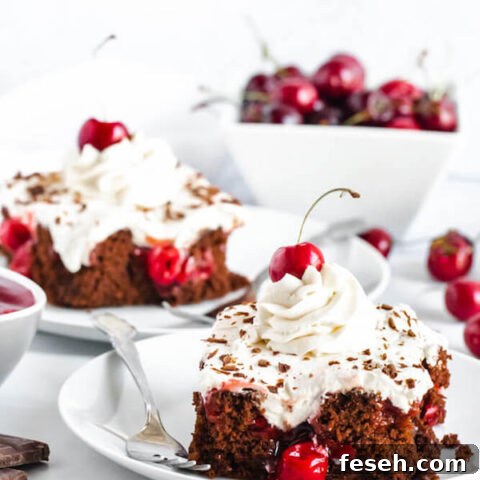 chocolate cake filled with cherry pie filling and topped with whipped cream, chocolate shavings and a cherry