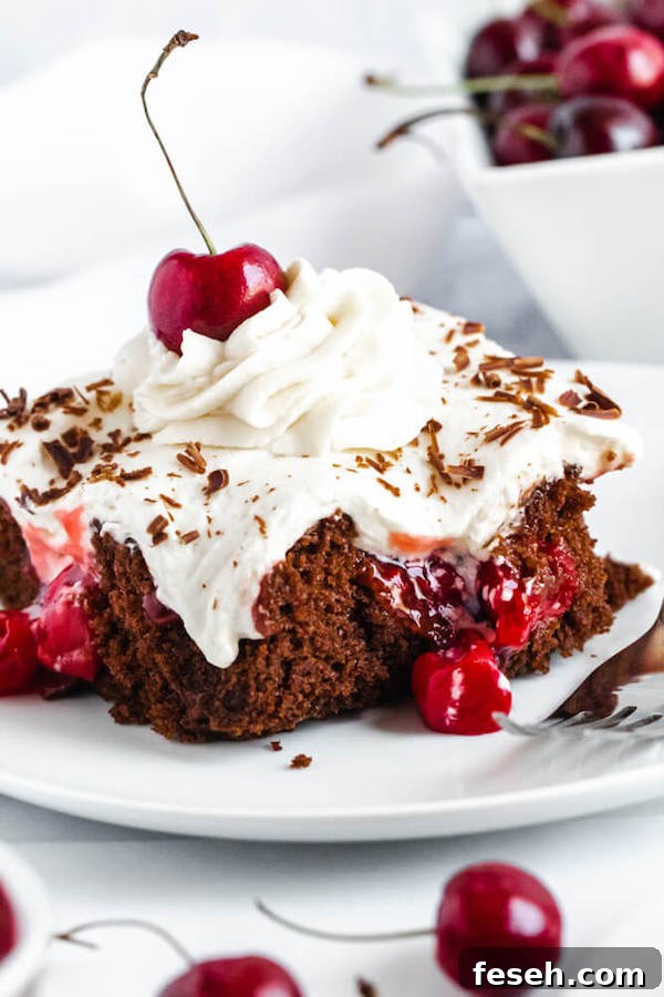 chocolate cake filled with cherry pie filling and topped with whipped cream, chocolate shavings and a cherry