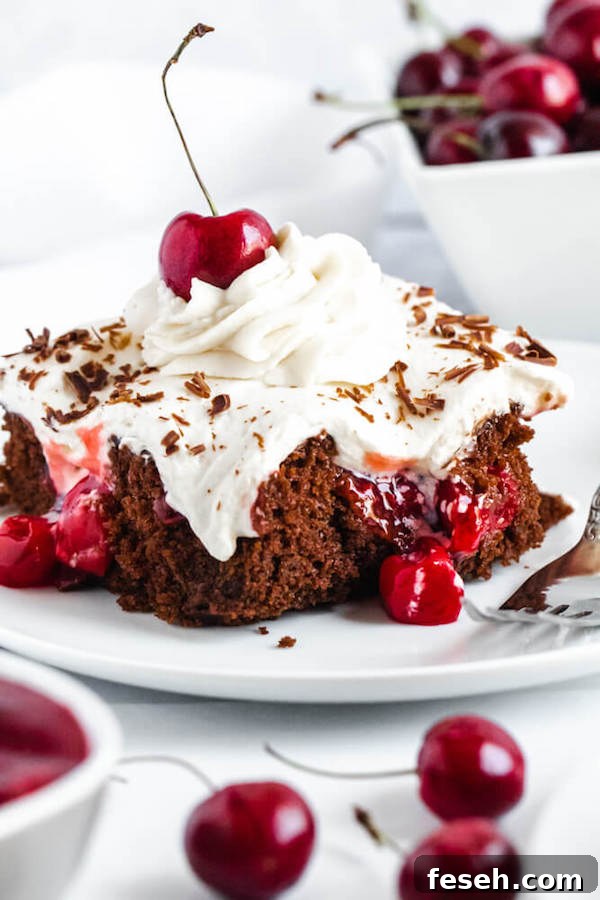 chocolate cake filled with cherry pie filling and topped with whipped cream, chocolate shavings and a cherry