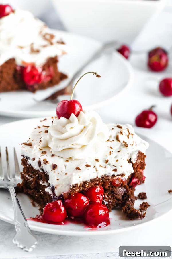 chocolate cake filled with cherry pie filling and topped with whipped cream, chocolate shavings and a cherry