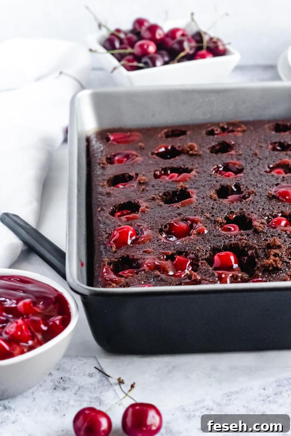 chocolate cake filled with cherry pie filling
