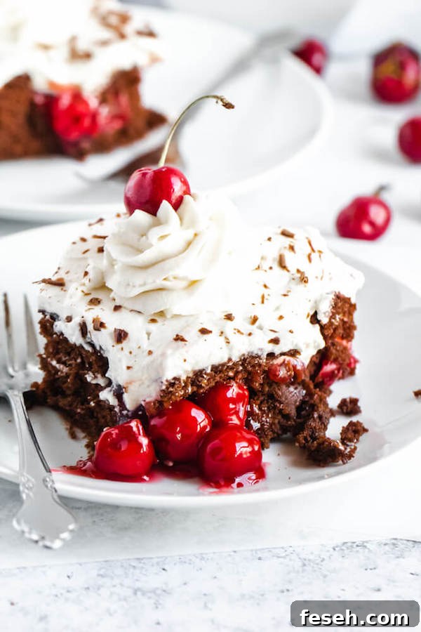 chocolate cake filled with cherry pie filling and topped with whipped cream, chocolate shavings and a cherry