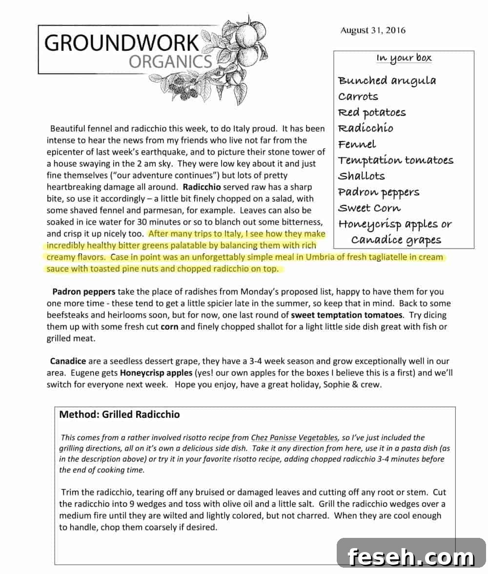 groundworks_newsletter