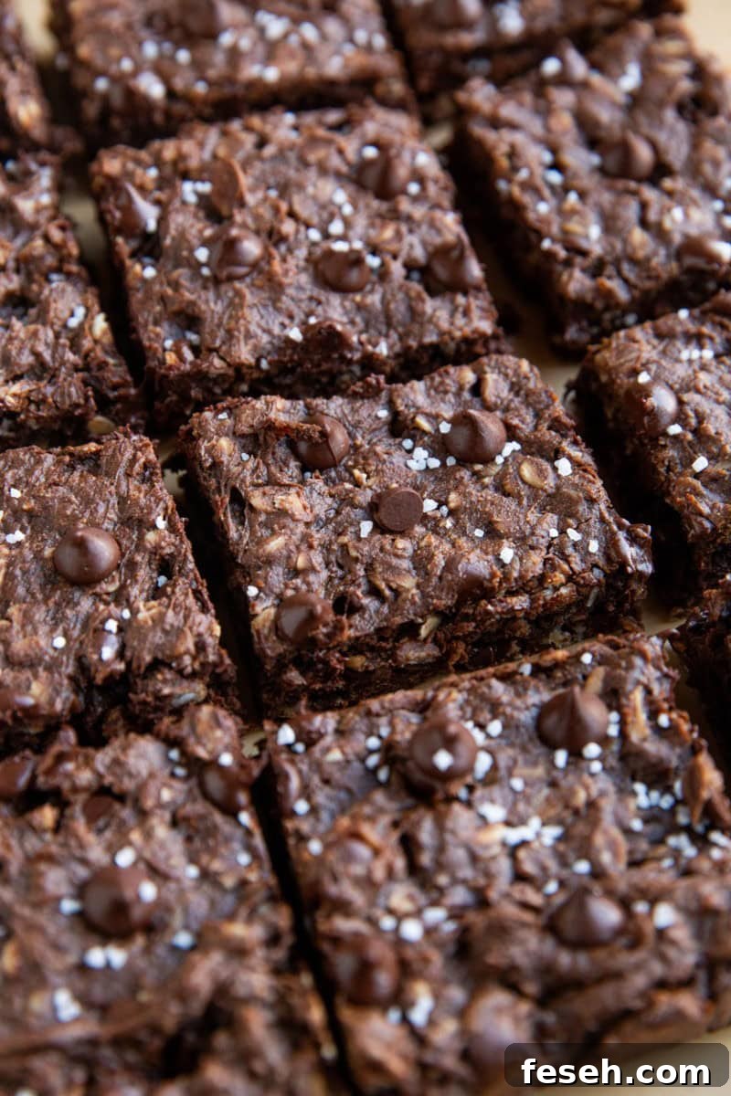 Chocolate peanut butter oatmeal cookie bars cut into individual squares