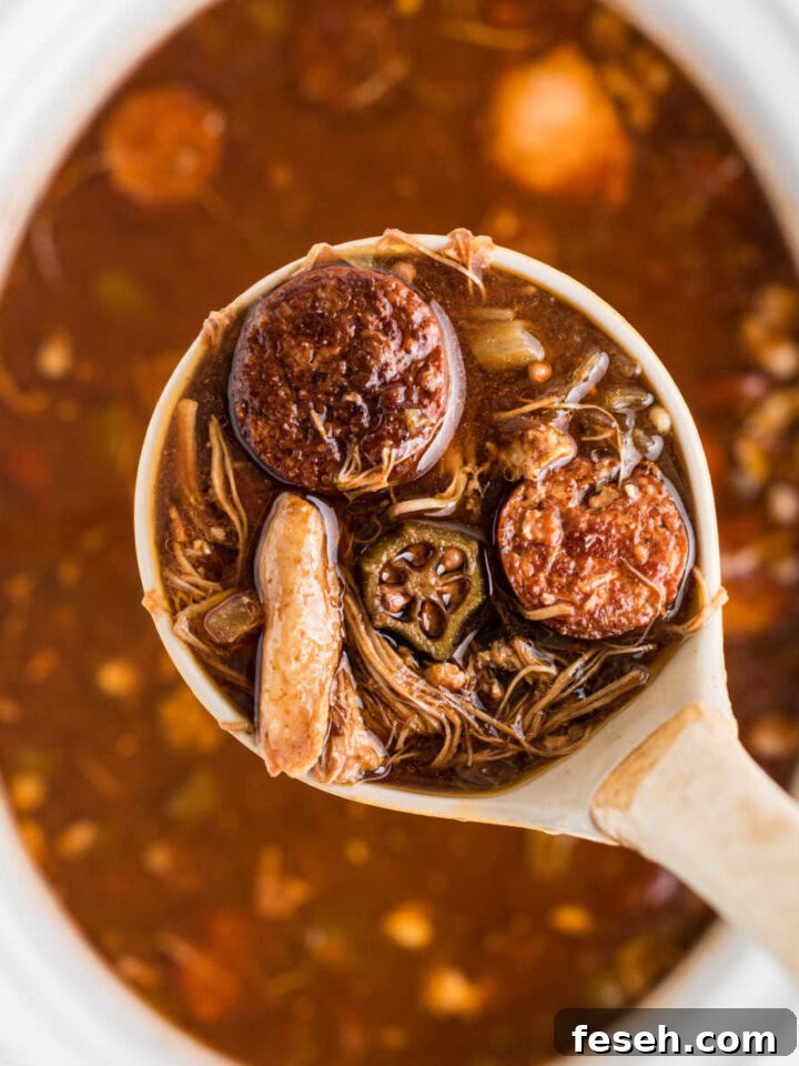 Overhead shot of a ladle coming out of a slow cooker with gumbo.