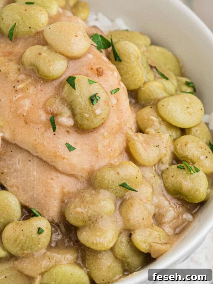 Close up of a bowl of chicken and lima beans on rice.