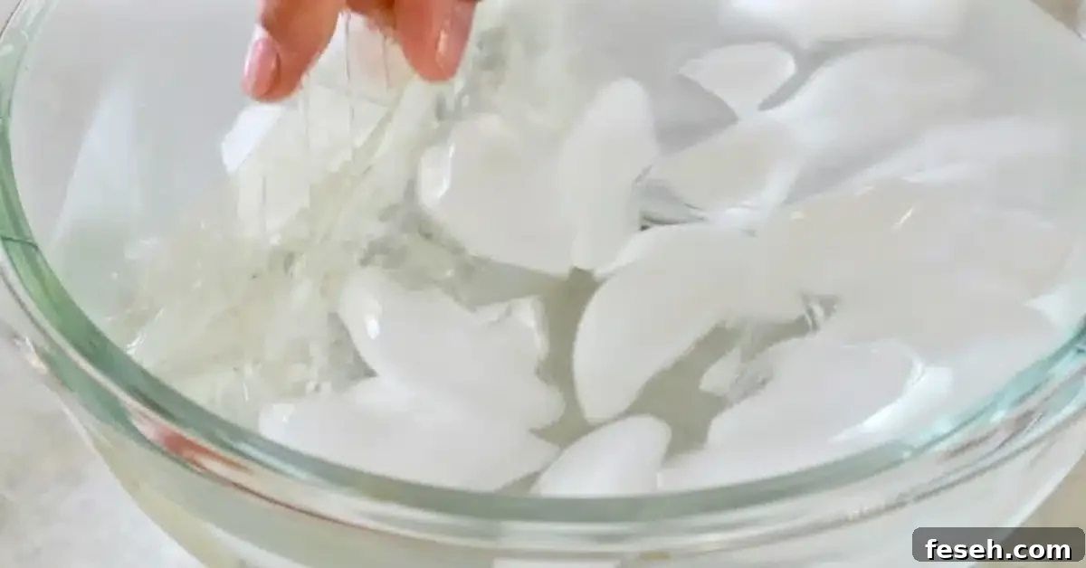 adding gelatin sheets in ice-cold water