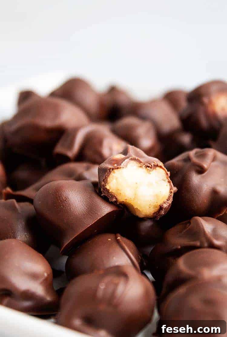 closeup of half-eaten chocolate covered macadamia nut