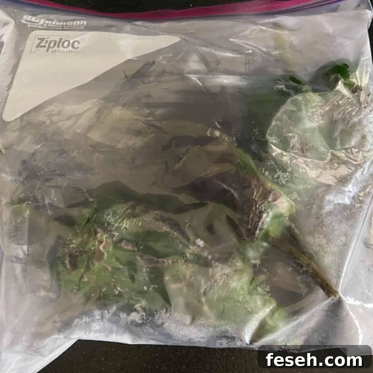 Poblanos in a ziplock bag.