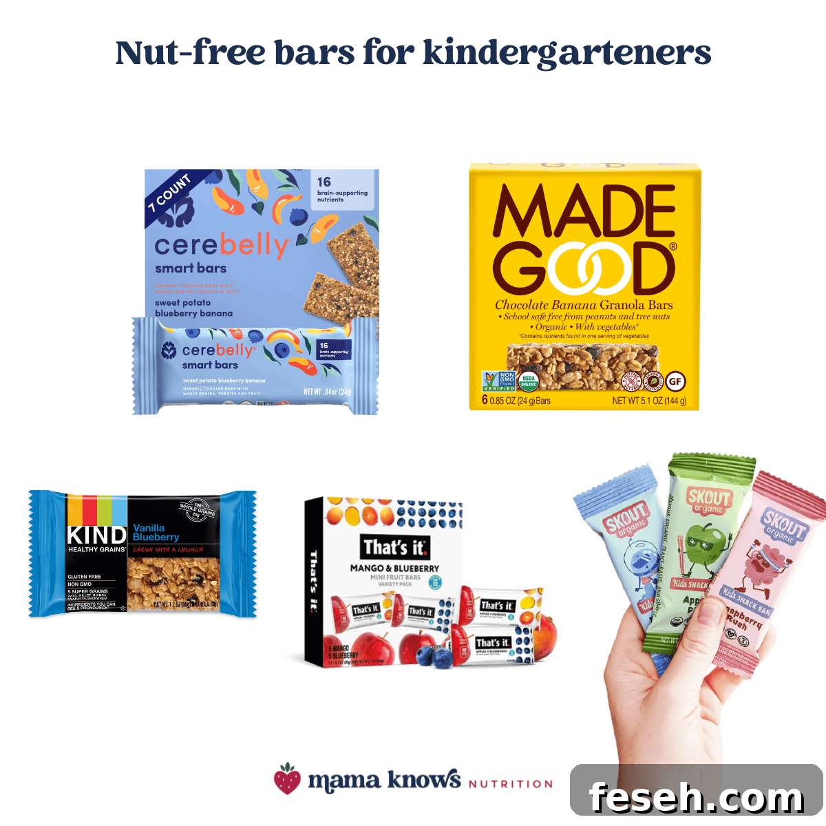 nut free bars for kindergarteners