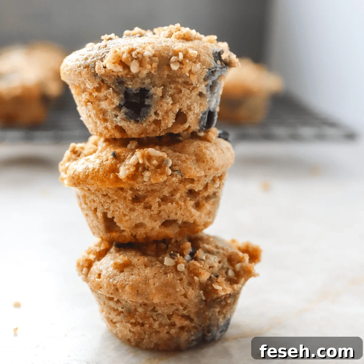 stack of 3 mini blueberry muffins
