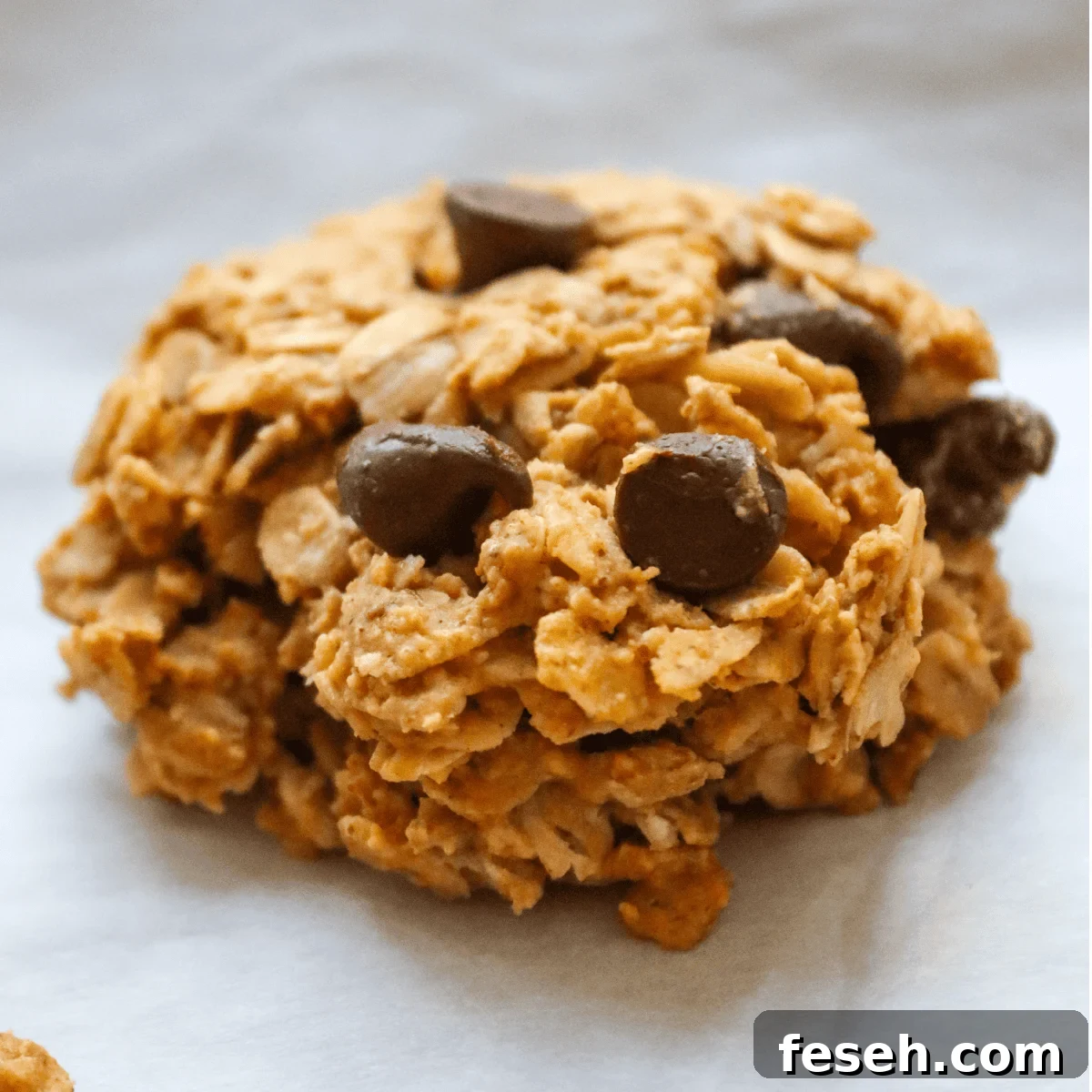 single oatmeal cookie