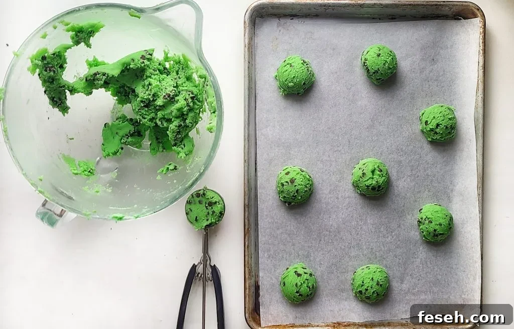 mint chocolate chip cookie dough