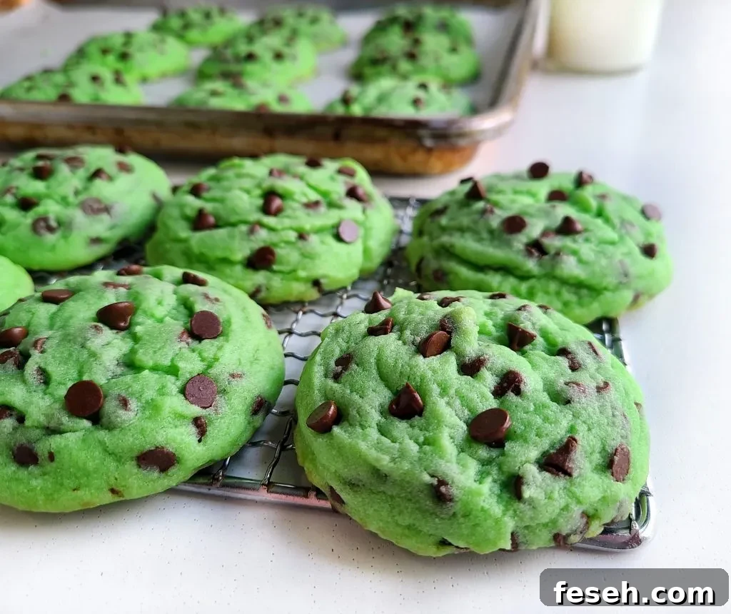 mint chocolate chip cookies