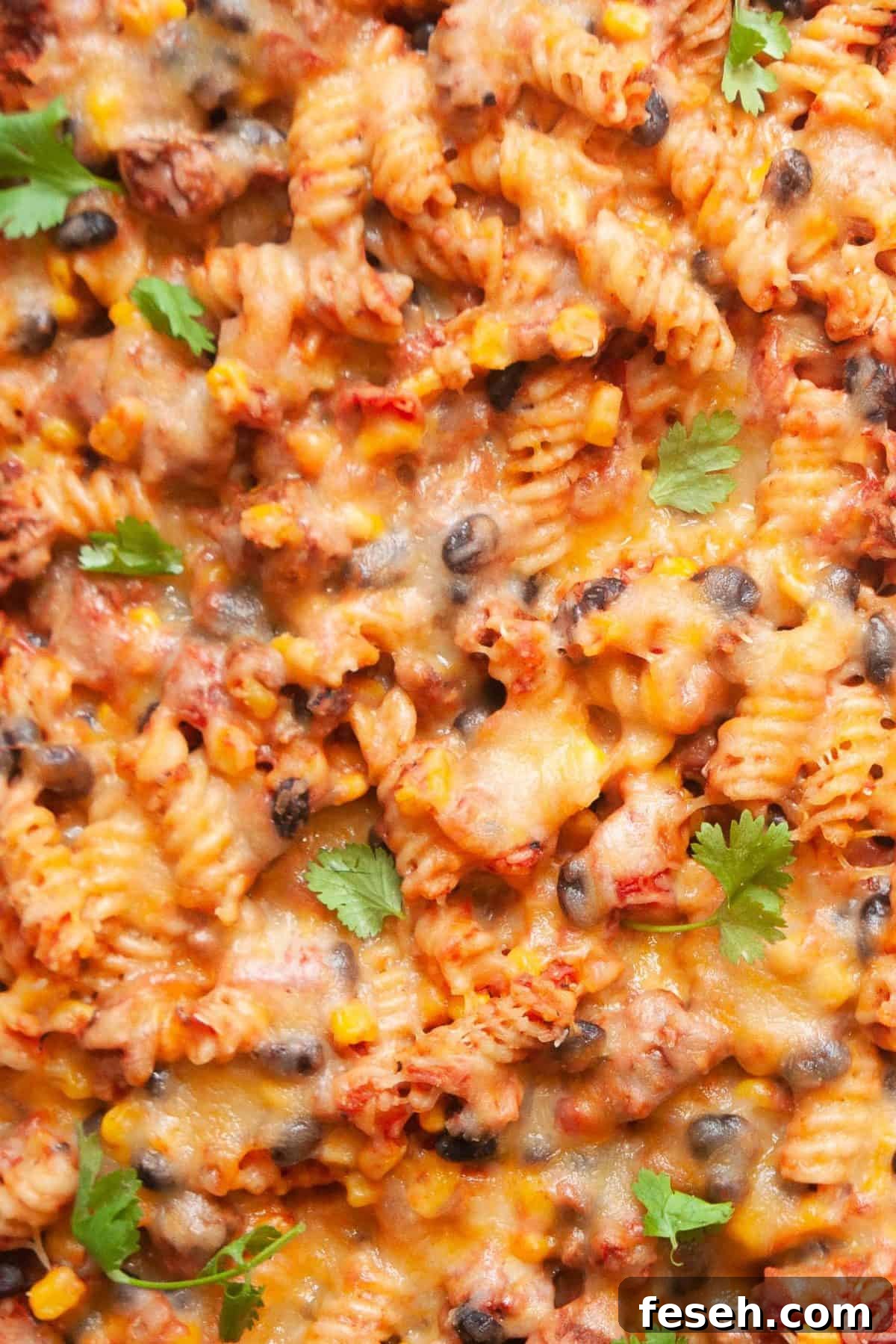 close up healthy taco pasta