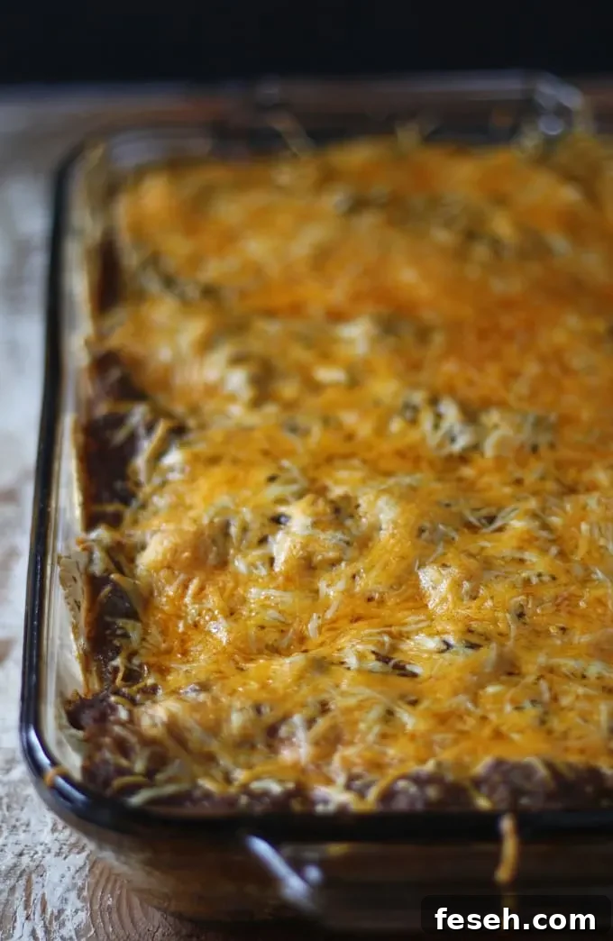 Black Bean Enchiladas with Jalapeno Crema | www.honeyandbirch.com #mexican