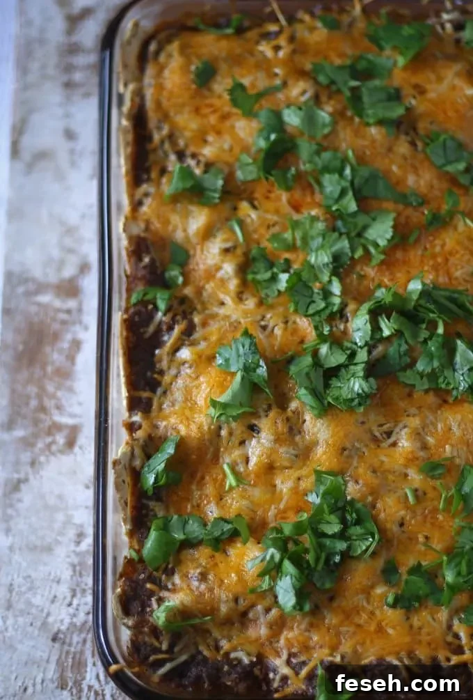 Black Bean Enchiladas with Jalapeno Crema | www.honeyandbirch.com #mexican
