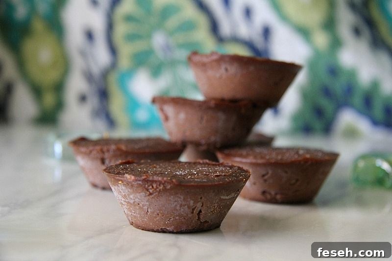 chocolate pumpkin fudge